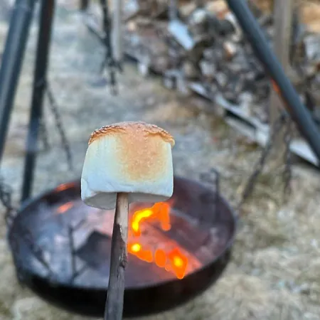 Modern Near Maldalsvatnet And Reinsnuten *