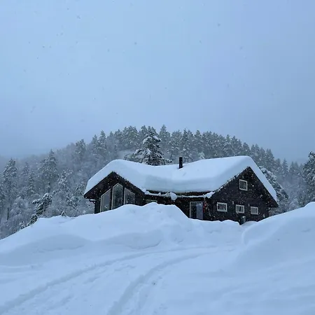 Modern Near Maldalsvatnet And Reinsnuten Holiday home *