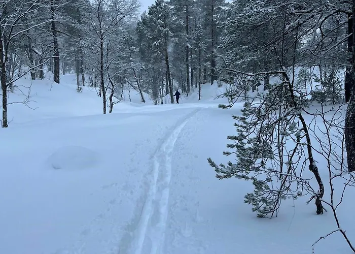 Modern Near Maldalsvatnet And Reinsnuten בית נופש Sauda